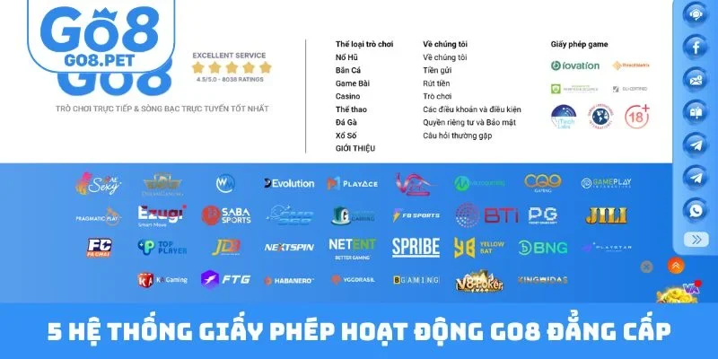 5 hệ thống giấy phép hoạt động GO8 đẳng cấp