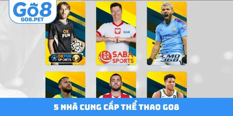 5 nhà cung cấp thể thao Go8 xanh chín