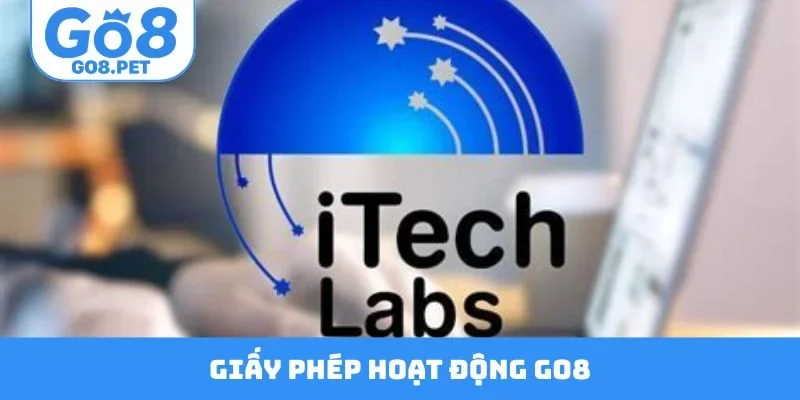 Giấy Phép Hoạt Động Go8