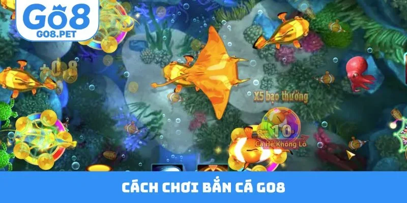 Cách Chơi Bắn Cá