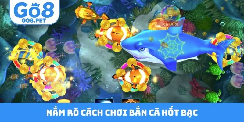 Nắm rõ cách chơi bắn cá hốt bạc mỗi ngày