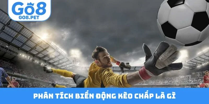 Phân tích biến động kèo chấp là gì cực hay