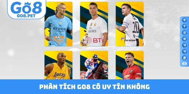 Phân tích GO8 có uy tín không